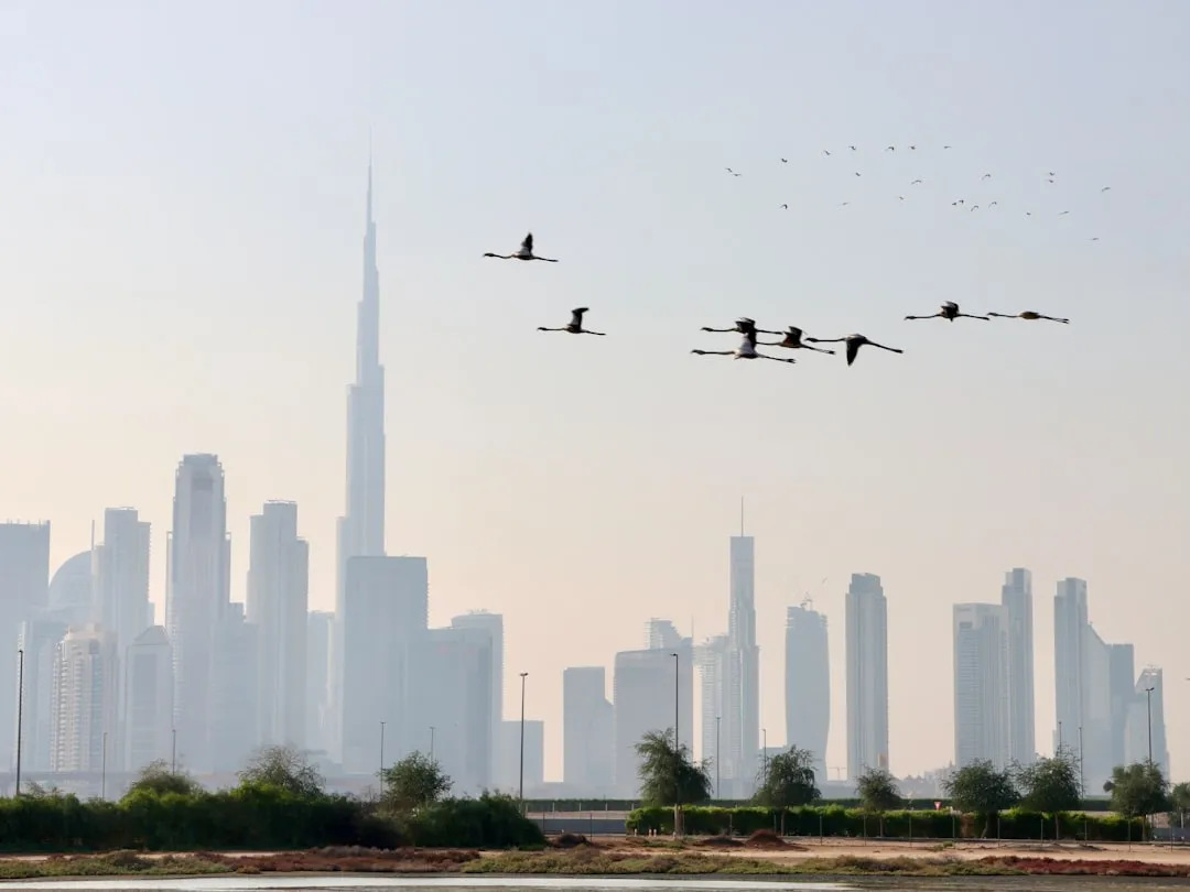The UAE says drones that targeted its Barakah nuclear power plant came from Iraqi territory - AP News