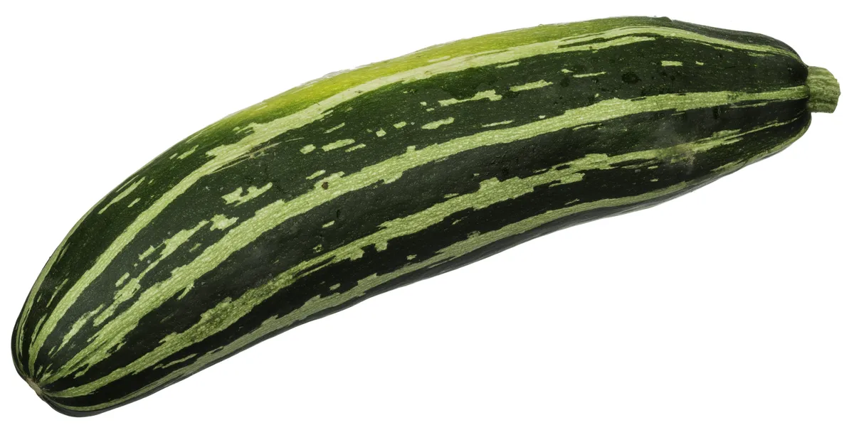 Fritters and slow-cooked: Ben Tish’s recipes for cooking with courgettes